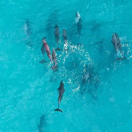 Apartamento Estrella Central Con Vista Al Mar Y Ascensor Διαμέρισμα