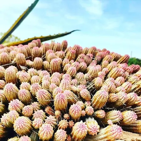 Apartamento Estrella Central Con Vista Al Mar Y Ascensor *