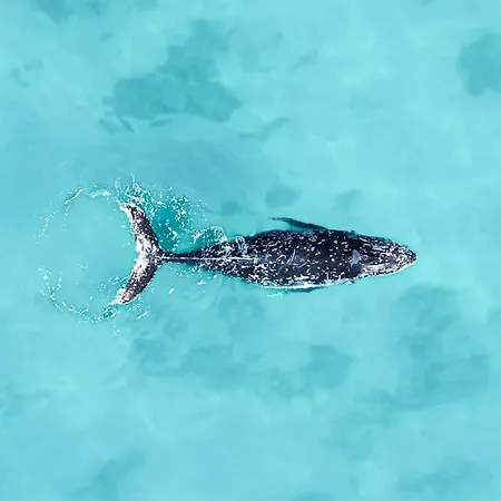 Apartman Apartamento Estrella Central Con Vista Al Mar Y Ascensor Corralejo