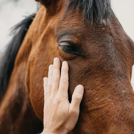 アパート Estrella Con Vista Al Mar Y Ascensor コラレホ