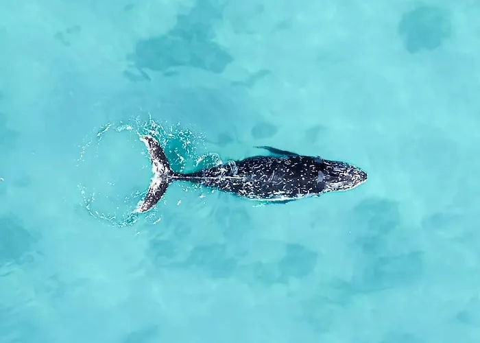 דירה Sara E Gino Fuerteventura Estrella Ocean View קורלחו