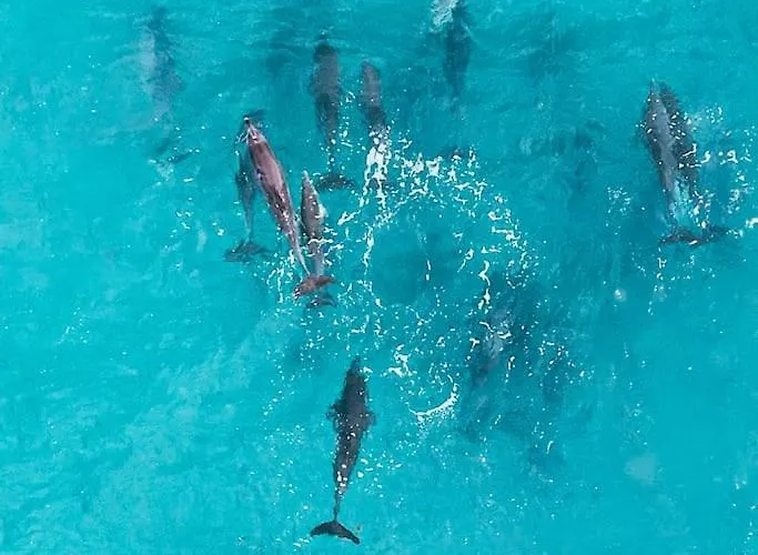 Sara E Gino Fuerteventura Estrella Ocean View アパート